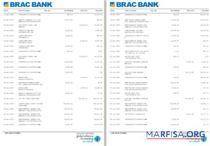Blank Bangladesh BRAC bank statement word 3 4 pages sample
